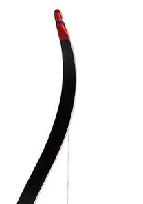 Shop-halona Recurvebogen Ragim Wildcat 48 Zoll 24lbs Junior 7 Shop-halona Recurvebogen Ragim Wildcat 48 Zoll 24lbs Junior