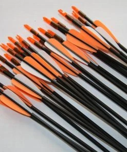 Shop-halona Bogensport 10x Fiberglaspfeil, Edwoods Sportpfeil Halona T1 30