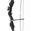 Shop-halona Compound Jugend Bogen BLACK-BEAR 25 Lbs F. Jugend M. Pfeile, Finger U. Armschutz Compoundbogen