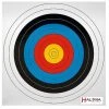 Shop-halona 10x FITA Scheibenauflage 60cm, Zielscheibe, Bogenschießen, Sportbogen Auflage Zielscheiben