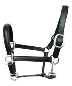 Shop-halona Reitsport Lederhalfter Pidero Serie 18 Gepolstert Versch. Größen