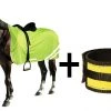 Shop-halona Sicherheitset Pferd, Leuchtgamaschen Und Reflex-Sicherheitsdecke 145 Cm 1 Shop-halona Sicherheitset Pferd, Leuchtgamaschen Und Reflex-Sicherheitsdecke 145 Cm