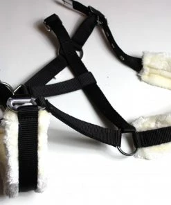 Shop-halona Nylonhalfter Pidero Serie 03 Nylon Versch. Größen Reitsport