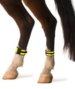 Shop-halona Sicherheitset Pferd, Leuchtgamaschen Und Reflex-Sicherheitsdecke 135 Cm Reitsport