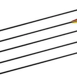 Shop-halona 5x Sportpfeil Fiberglas Pfeil, 28 Zoll, Bignami Italy Mit Spitze, Jugend Pfeile 7 Shop-halona 5x Sportpfeil Fiberglas Pfeil, 28 Zoll, Bignami Italy Mit Spitze, Jugend Pfeile