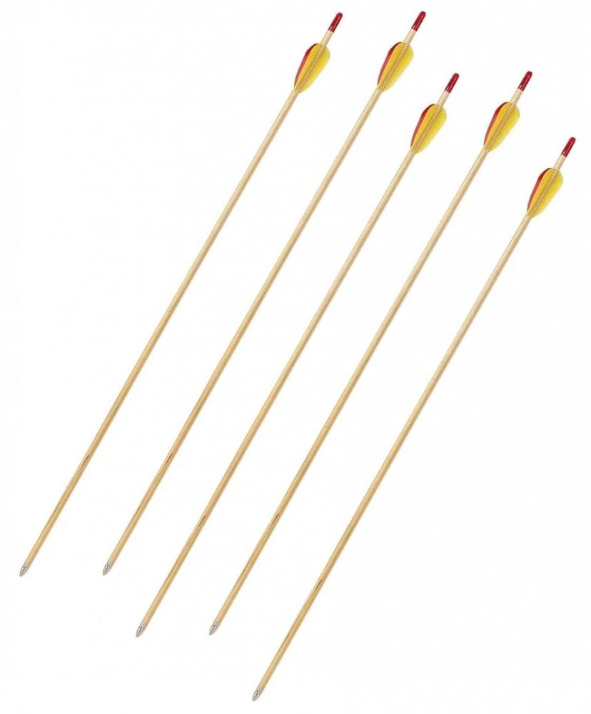 Shop-halona 5x Sportpfeil Holz Pfeil, 27,5 Zoll, Bignami Italy Mit Spitze, Jugend Pfeile 4 Shop-halona 5x Sportpfeil Holz Pfeil, 27,5 Zoll, Bignami Italy Mit Spitze, Jugend Pfeile