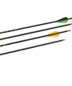 Shop-halona 12x Mach 3.1 Carbonpfeil 700