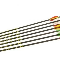 Shop-halona 12x Mach 3.1 Carbonpfeil 1000 Bogensport