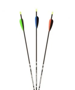 Shop-halona 12x Penthalon Slim Line Black Carbonpfeil 32 Bearpaw Spine 400-1000