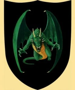 Shop-halona Rollenspiele Schild, Ritterschild, Holz-Schild F. Kinder Drache, Schwarz/grün