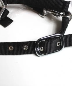 Shop-halona Nylonhalfter Pidero Serie 03 Nylon Versch. Größen Reitsport