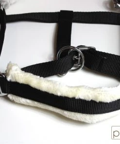 Shop-halona Nylonhalfter Pidero Serie 03 Nylon Versch. Größen Reitsport