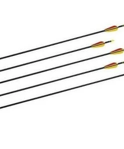 Shop-halona 5x Fiberglass Pfeil 30 Zoll, Sportpfeil Bignami Bogensport